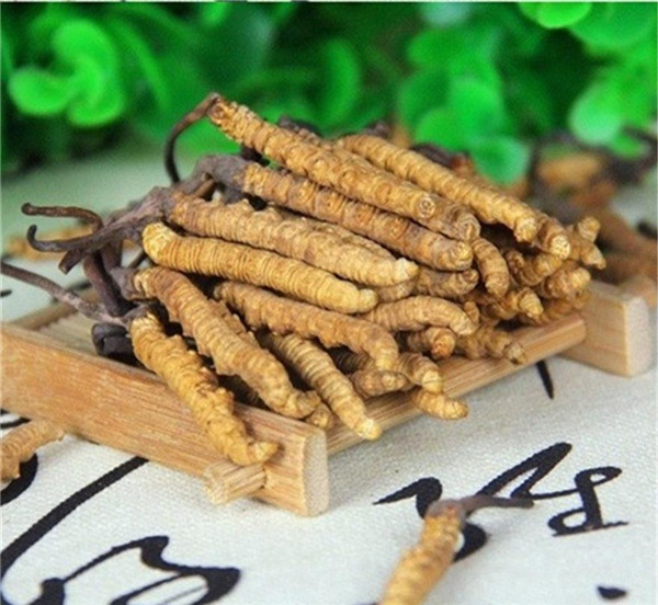 2026高性价比之选：可靠的虫草回收/回收冬虫夏草公司哪家好