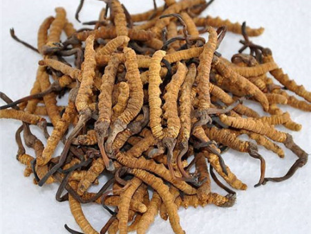 老客户家中闲置虫草